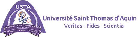 USTA Logo